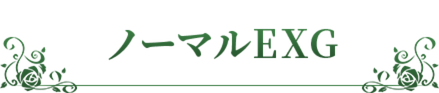 ノーマルEXG