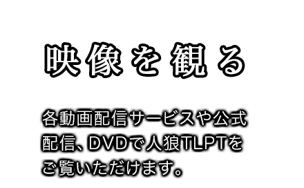 映像を観る